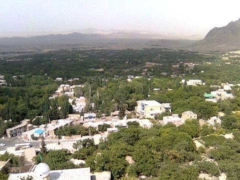 نوشمک نیاسر