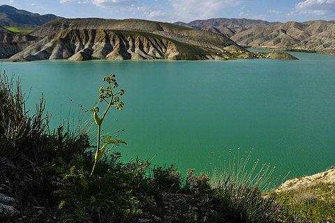 یخمک در لوجلی خراسان شمالی